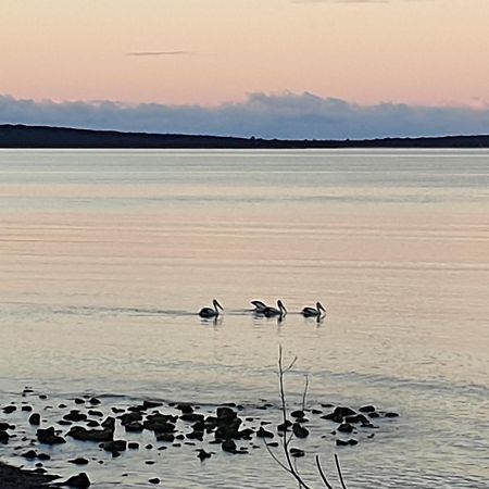 Port Lincoln Caravan Park North Shields Εξωτερικό φωτογραφία
