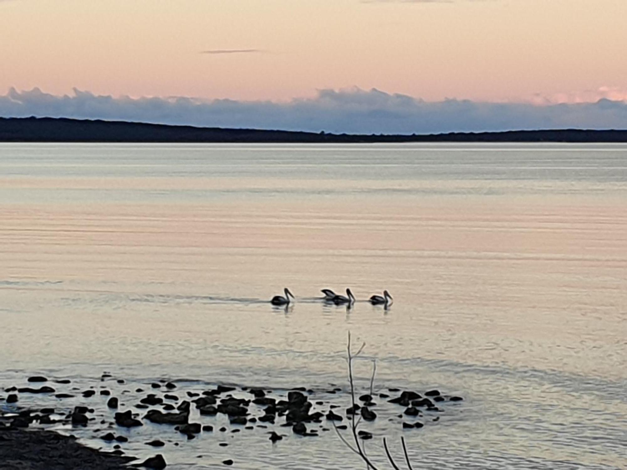 Port Lincoln Caravan Park North Shields Εξωτερικό φωτογραφία